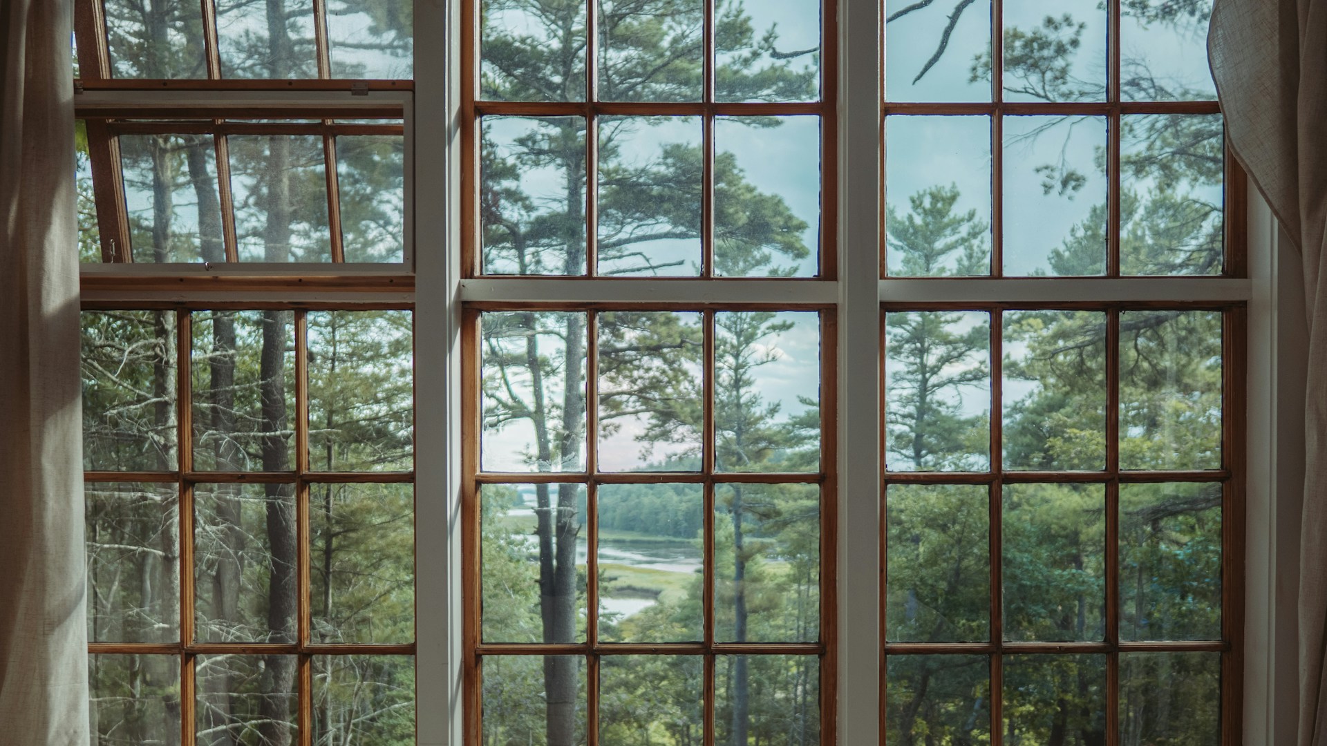 Watte Electric Windows & Skylight
